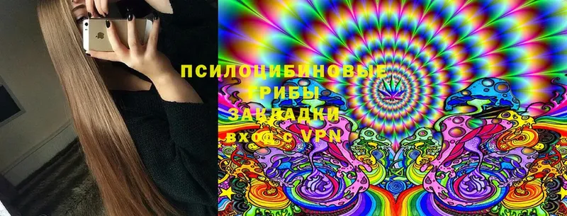 купить  сайты  OMG ТОР  Псилоцибиновые грибы Psilocybine cubensis  Благодарный 